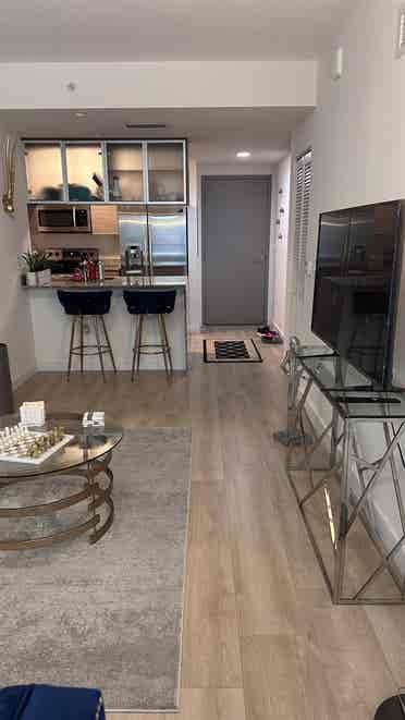 Roommate Wanted Furnished Apartment