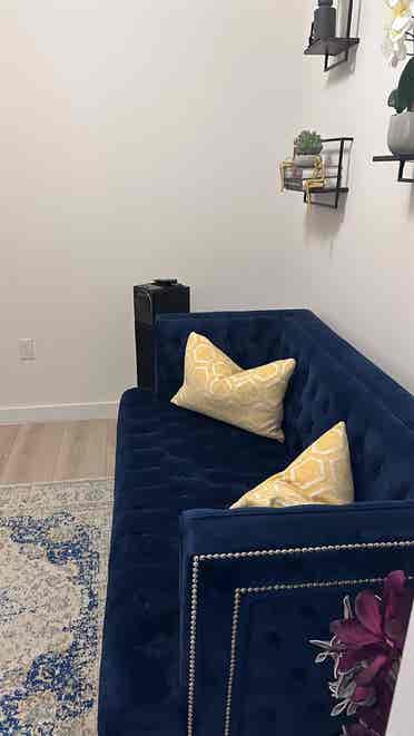 Roommate Wanted Furnished Apartment