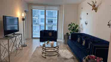 Roommate Wanted Furnished Apartment