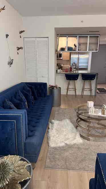 Roommate Wanted Furnished Apartment