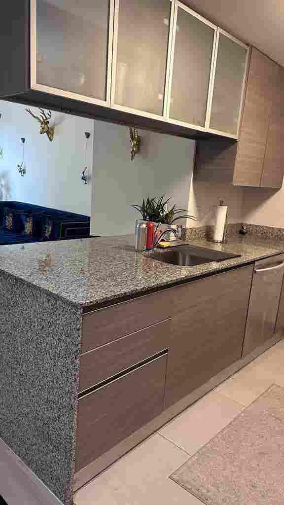 Roommate Wanted Furnished Apartment