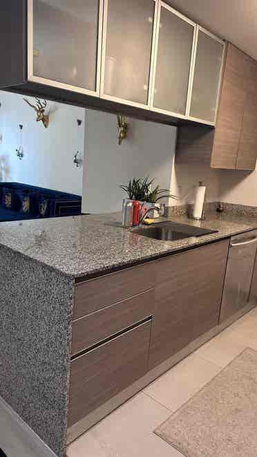 Roommate Wanted Furnished Apartment