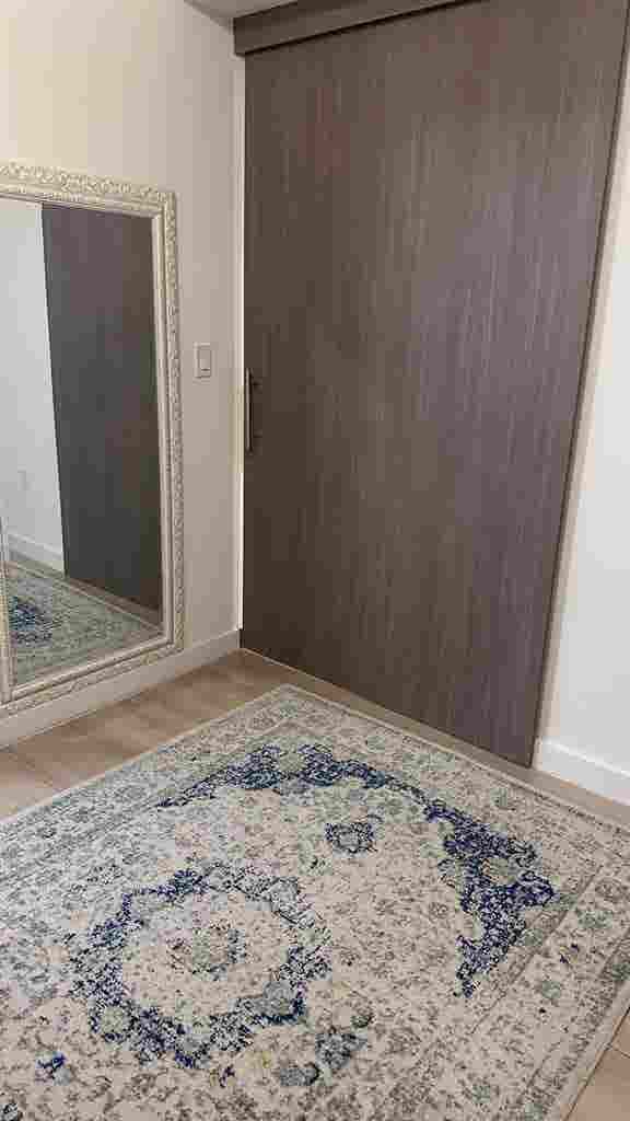 Roommate Wanted Furnished Apartment