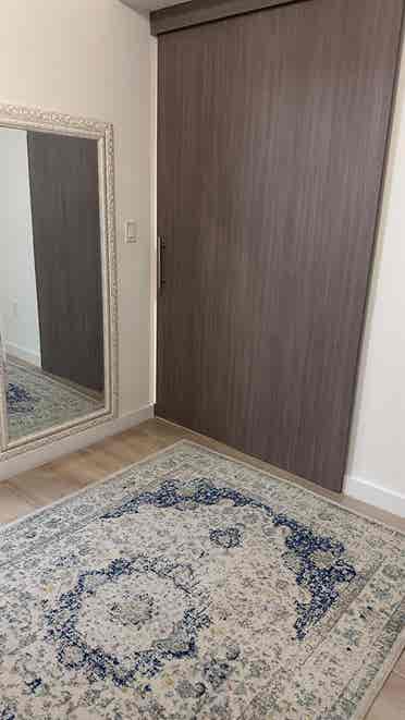 Roommate Wanted Furnished Apartment