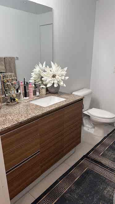 Roommate Wanted Furnished Apartment
