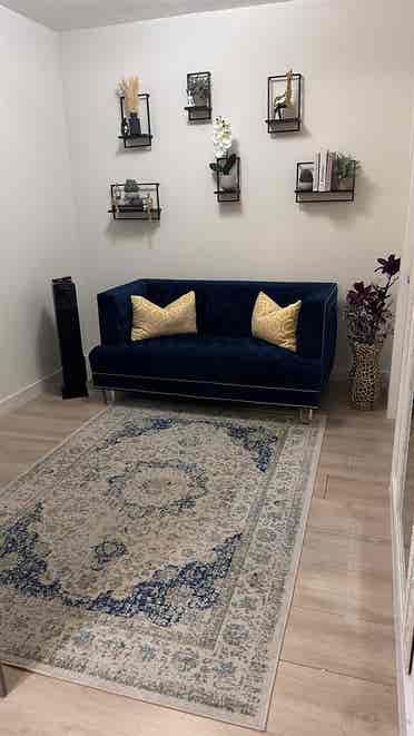 Roommate Wanted Furnished Apartment