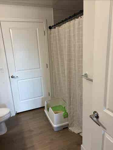 Apartment
 for rent