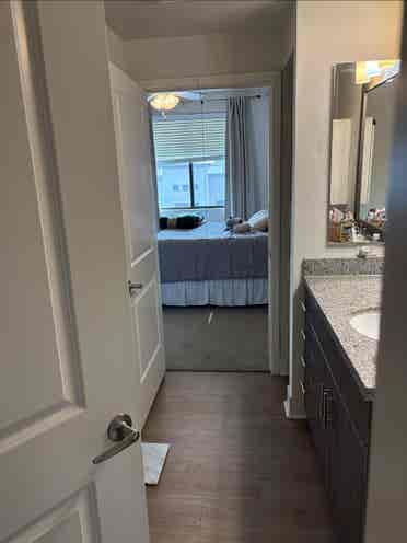 Apartment
 for rent