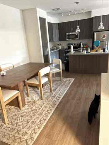 Apartment
 for rent