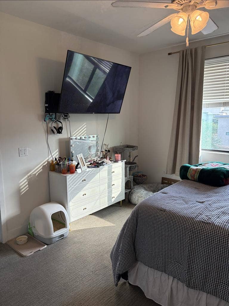 Apartment
for rent
