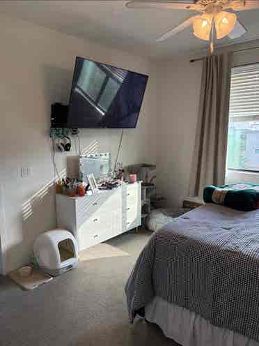 Apartment
 for rent