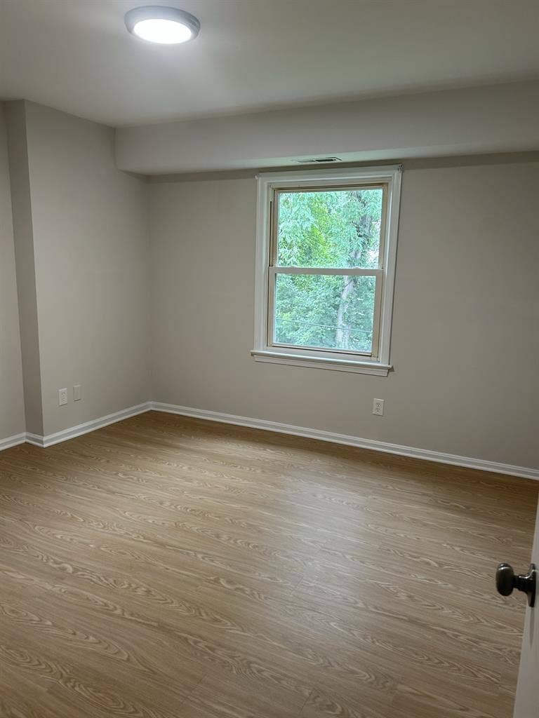 Looking for a roommate