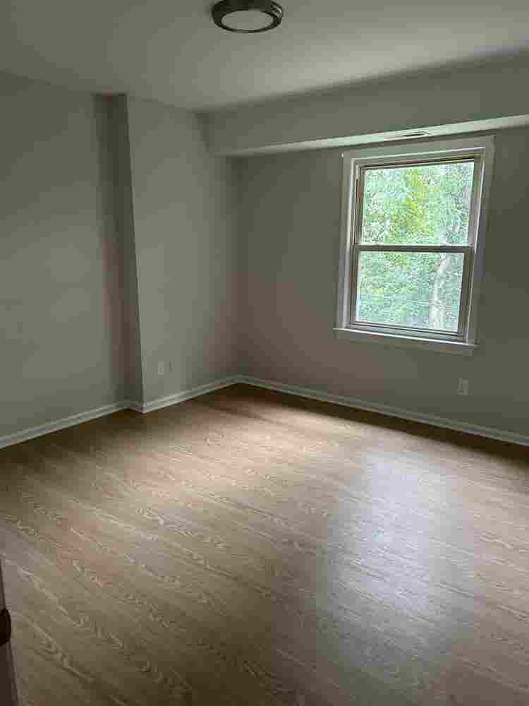 Looking for a roommate