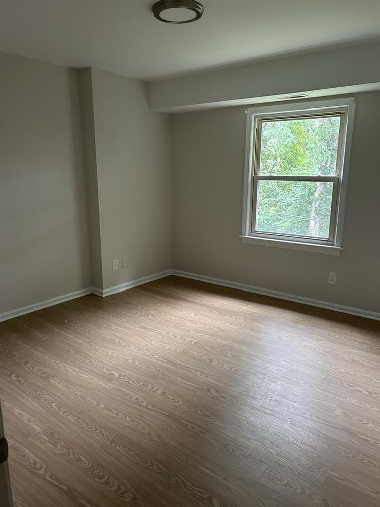 Looking for a roommate