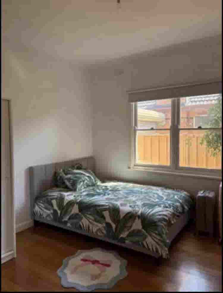 Looking For roommate