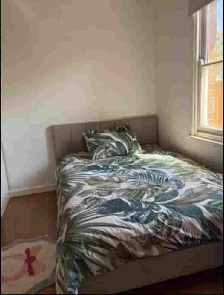 Looking For roommate