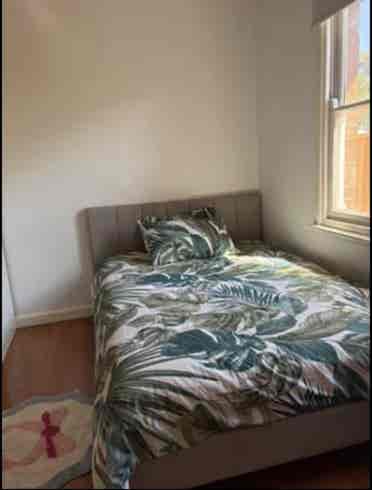 Looking For roommate