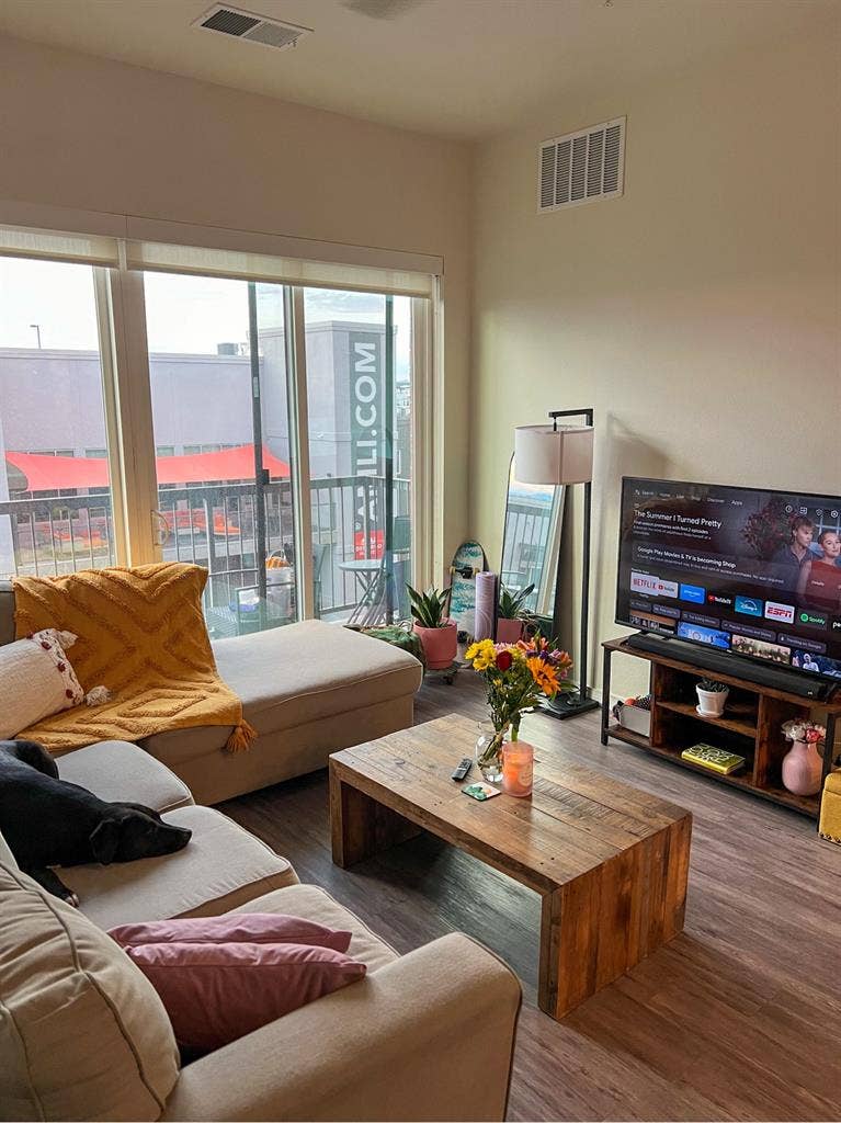 Seeking Roomie - RINO! dog friendly
