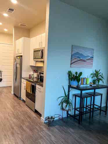 Seeking Roomie - RINO! dog friendly
