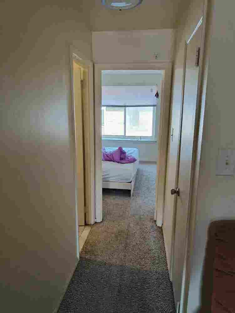 Looking for  roommate in MapleShade