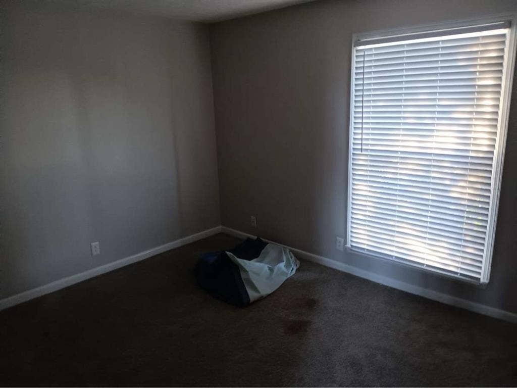 Need Roommate