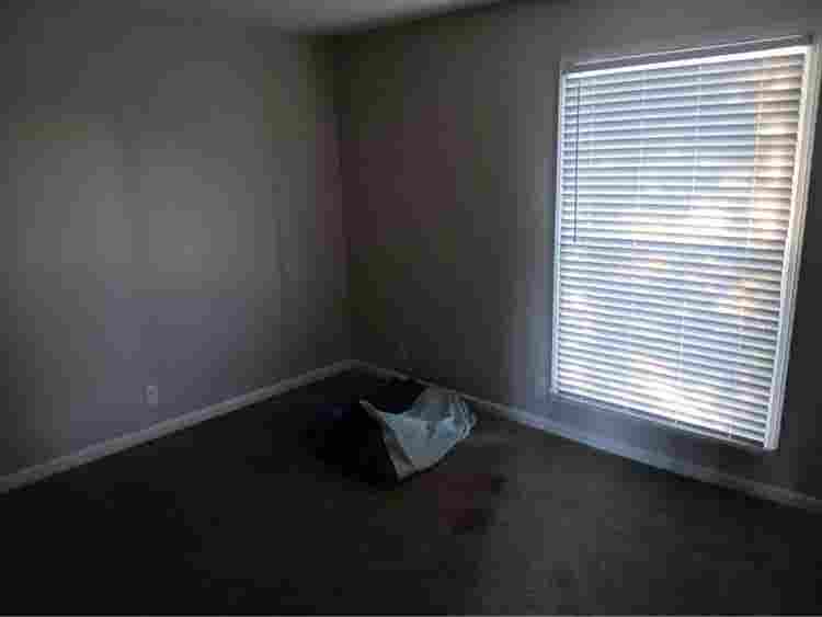 Need Roommate