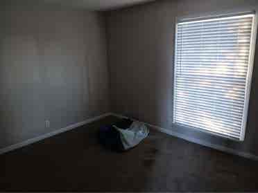 Need Roommate