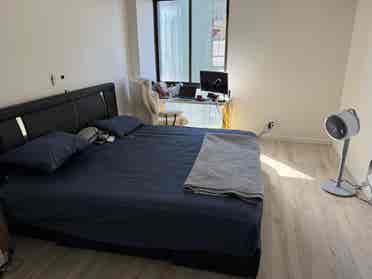 Albany 1BHK (All Inclusive)
