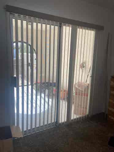 Looking for a roommate