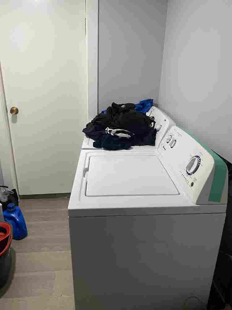 3 bedroom apartment