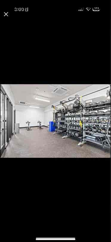 1 room available September 1st
