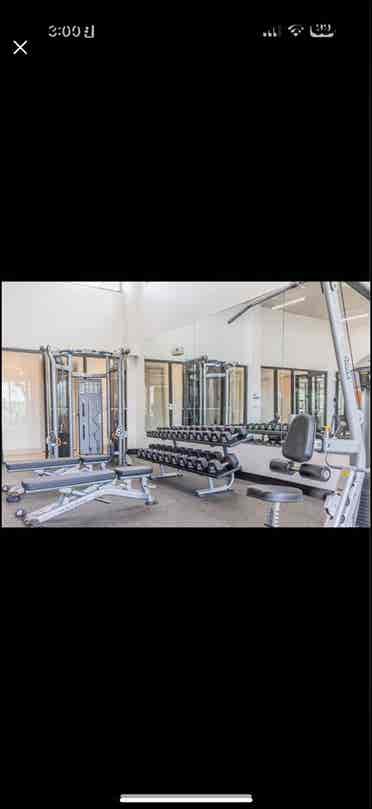 1 room available September 1st