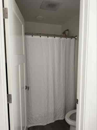 1 room available September 1st