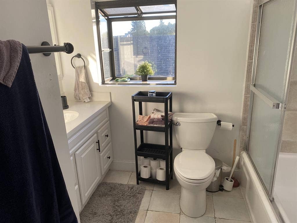 A spacious, sunny single bedroom