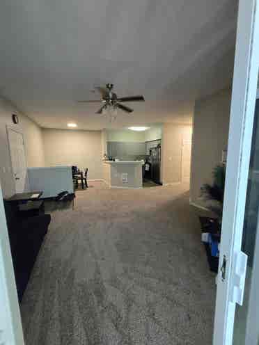 Roommate wanted