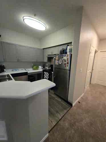 Roommate wanted