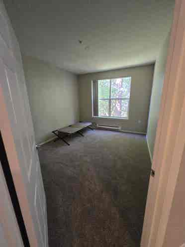Roommate wanted