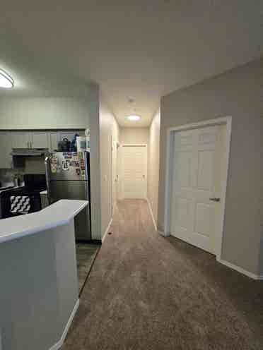 Roommate wanted