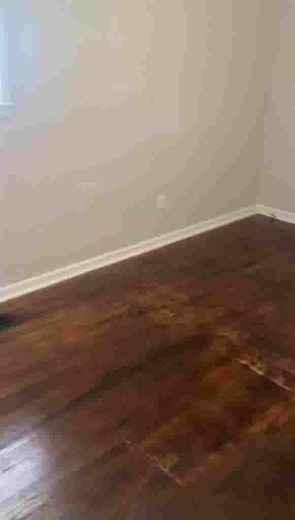 Macon Gems room 4 rent