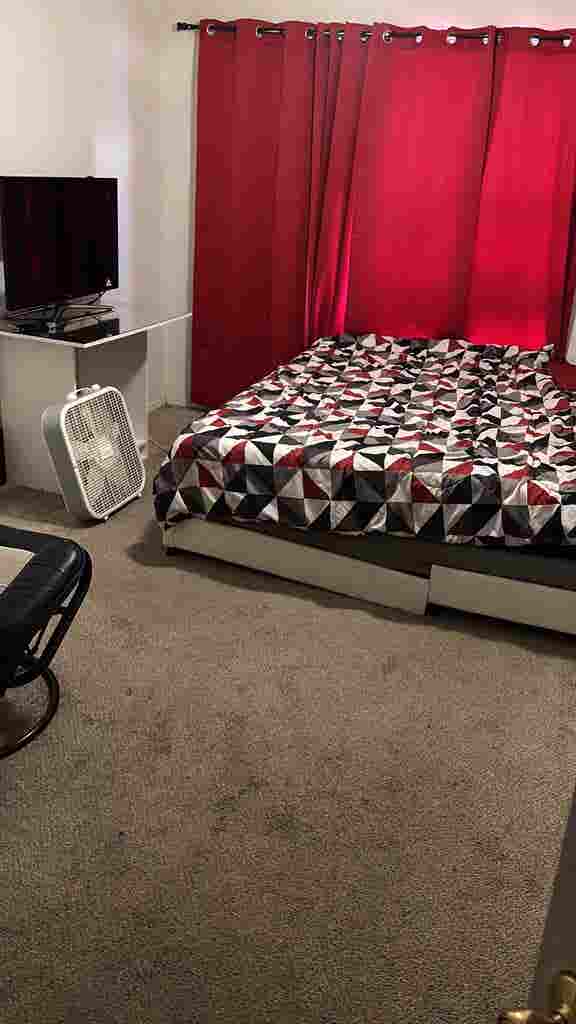 Room For Rent