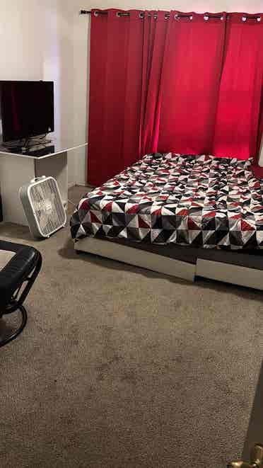 Room For Rent