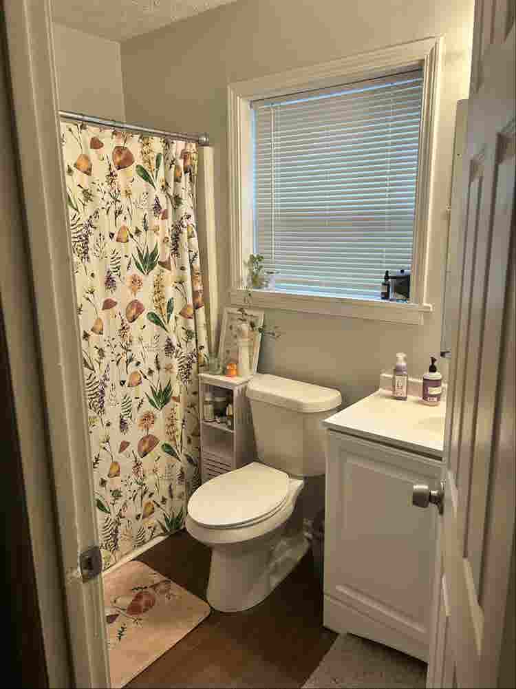 Roommate Needed, Must like dogs.