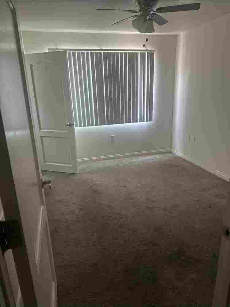 Looking for roommatees