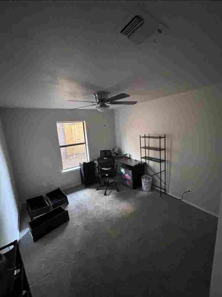 Need roommate