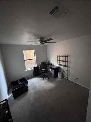 Need roommate