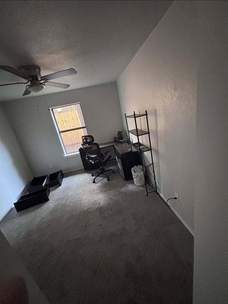 Need roommate