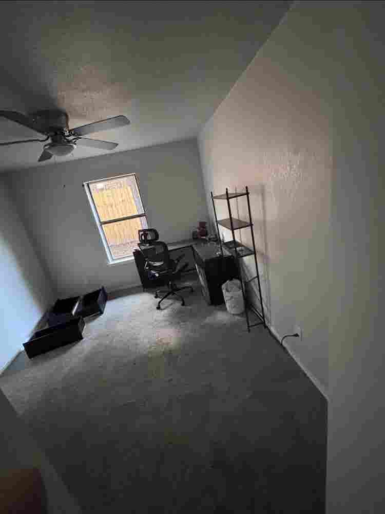 Need roommate