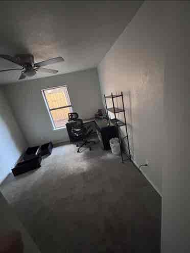 Need roommate