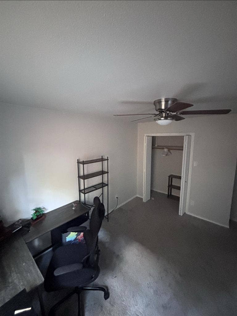 Need roommate