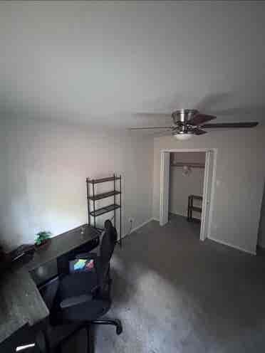 Need roommate